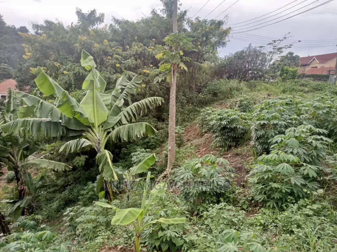 1acre of Land for Sale in Kira Bulindo