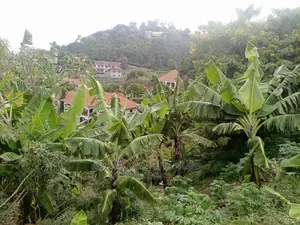 1acre of Land for Sale in Kira Bulindo