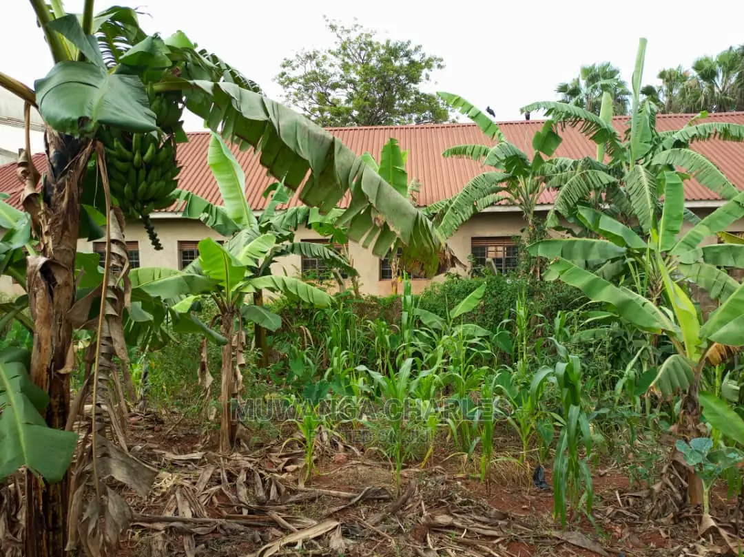 25decimals of Land for Sale in Buwate
