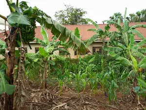 25decimals of Land for Sale in Buwate