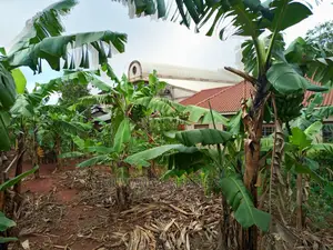 25decimals of Land for Sale in Buwate