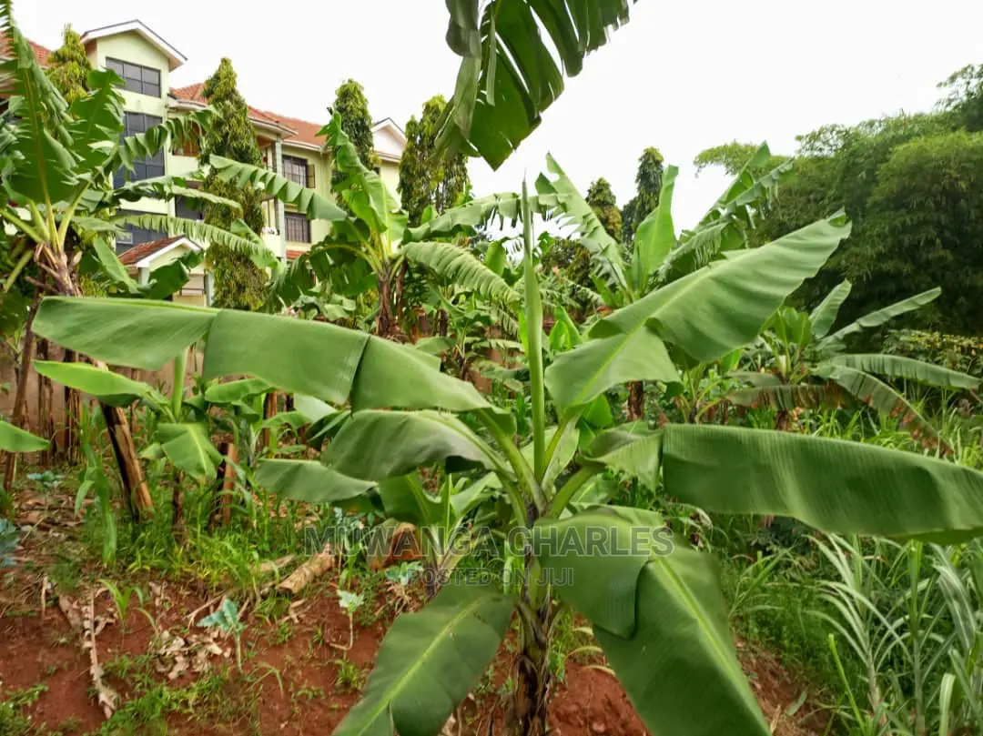 25decimals of Land for Sale in Buwate