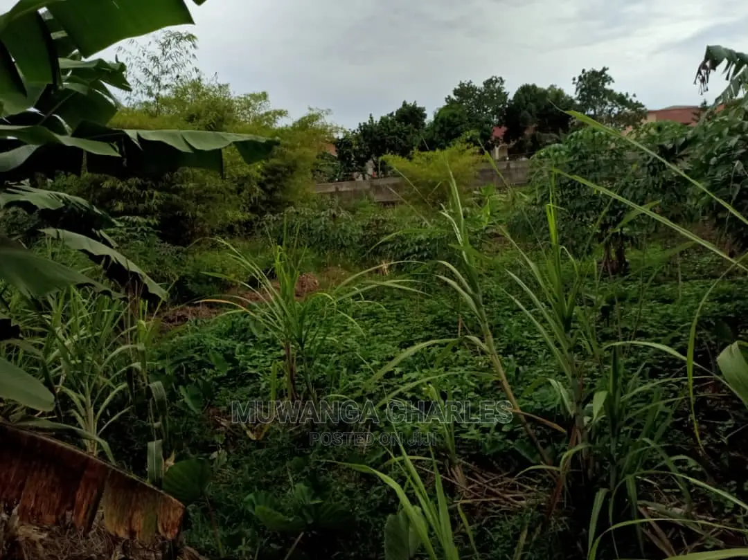 25decimals of Land for Sale in Buwate
