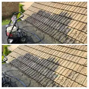 Roof Cleaning Book Us Now Thanks