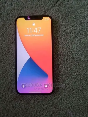 Apple iPhone 12 Pro 128 GB Gray