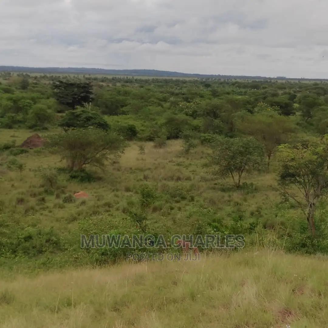 100acres of Land for Sale in Nakasongola
