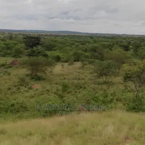 100acres of Land for Sale in Nakasongola