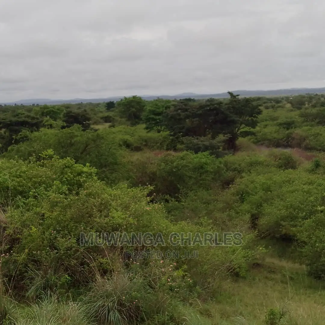 100acres of Land for Sale in Nakasongola