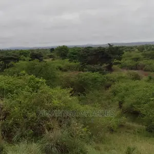 100acres of Land for Sale in Nakasongola