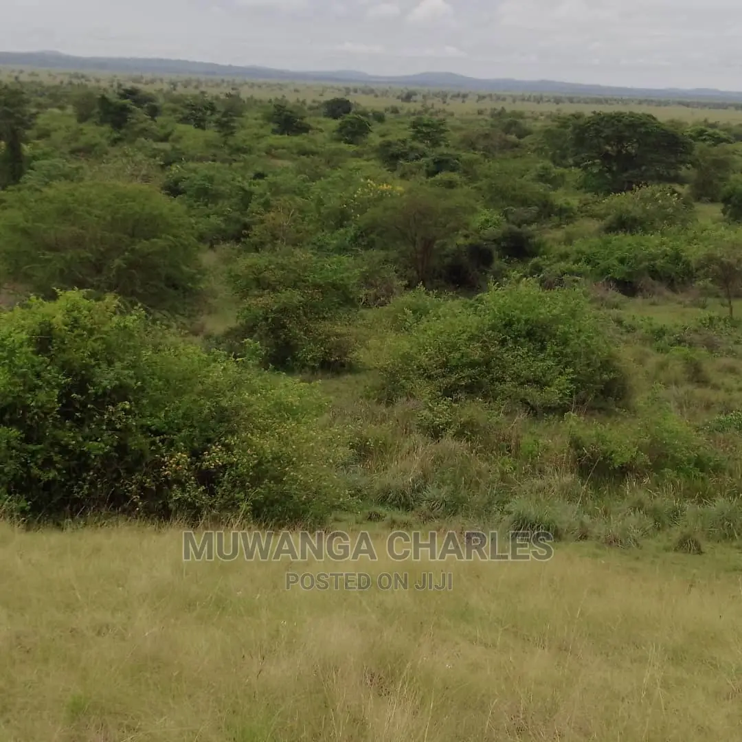 100acres of Land for Sale in Nakasongola