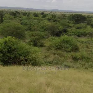 100acres of Land for Sale in Nakasongola