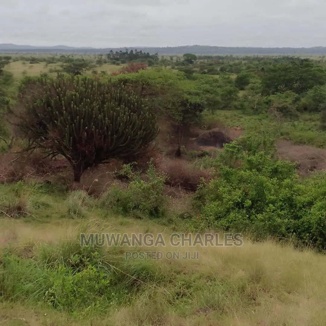 100acres of Land for Sale in Nakasongola