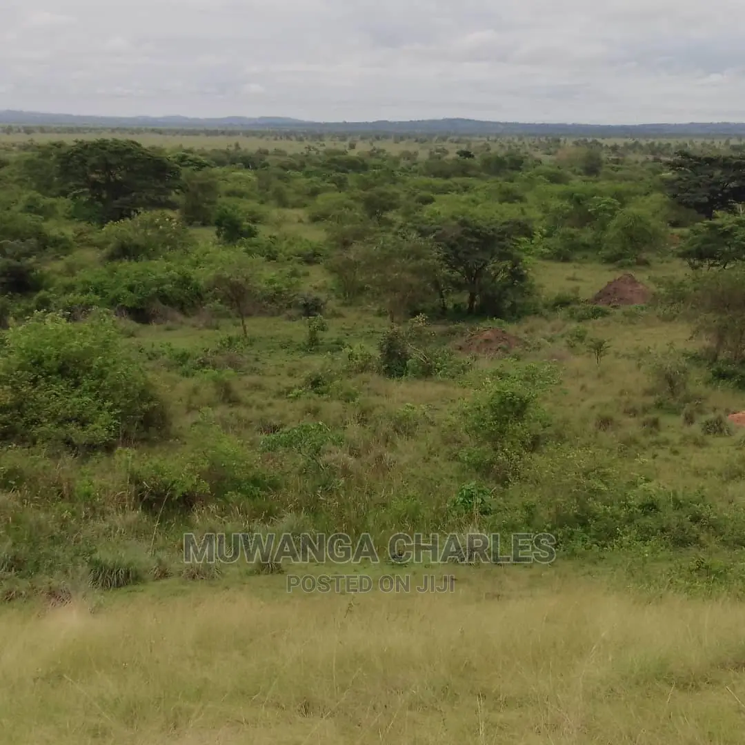 100acres of Land for Sale in Nakasongola