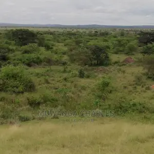 100acres of Land for Sale in Nakasongola