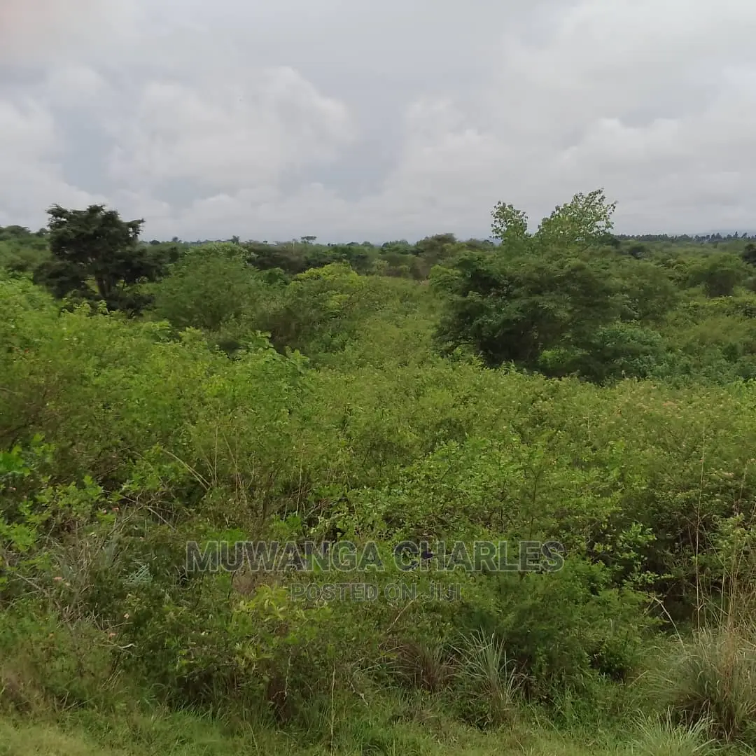 100acres of Land for Sale in Nakasongola