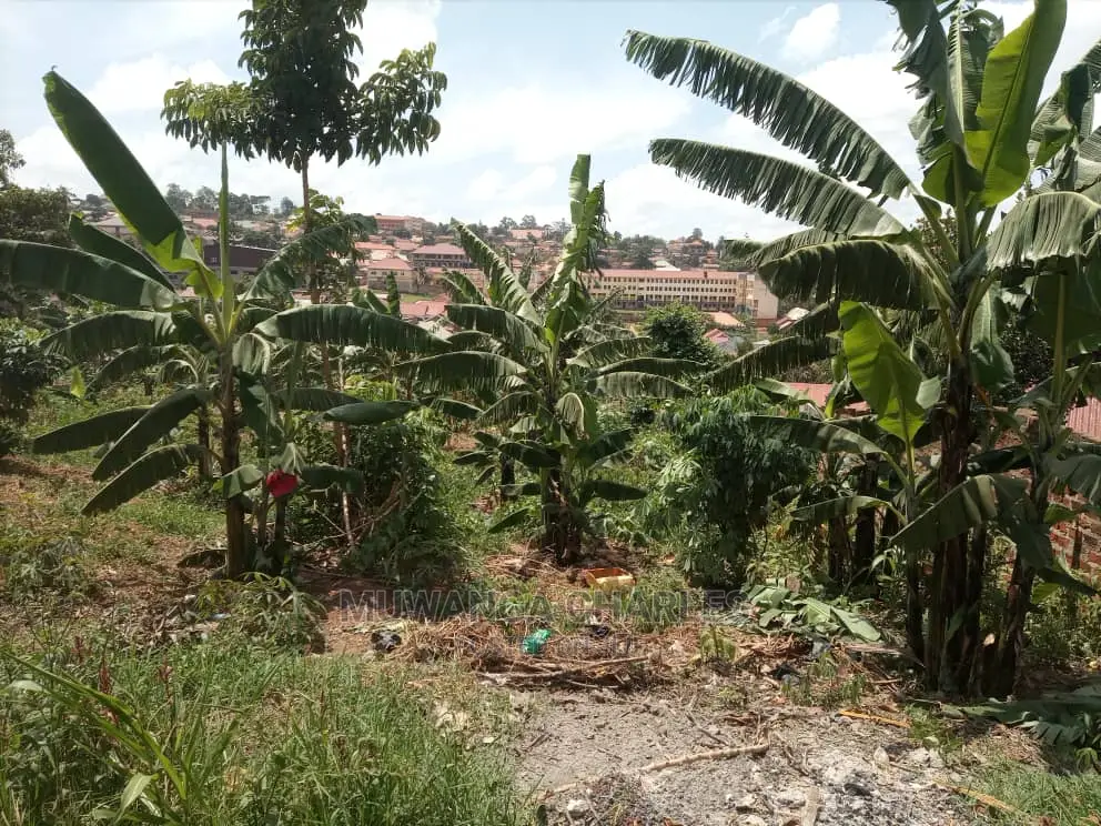 Plot's at Gayaza Nakwero at 30m