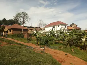 100x50ft Plot of Land for Sale in Mattuga