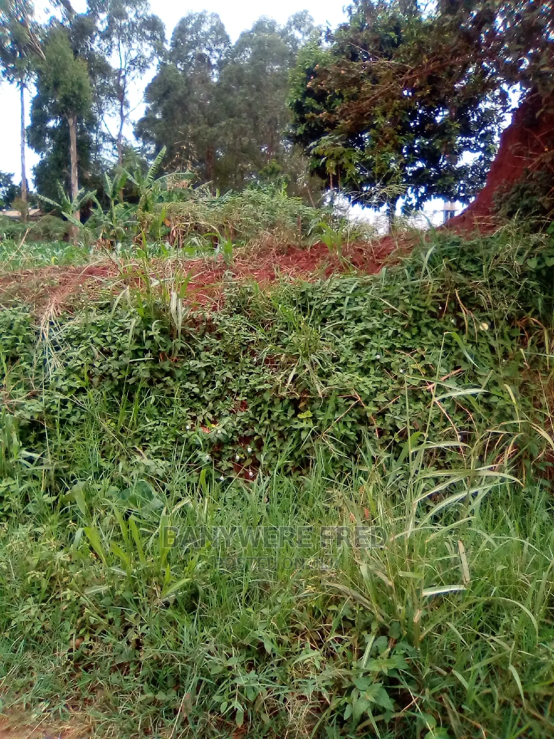 200acres of Industrial Land on Sale in Katalekake