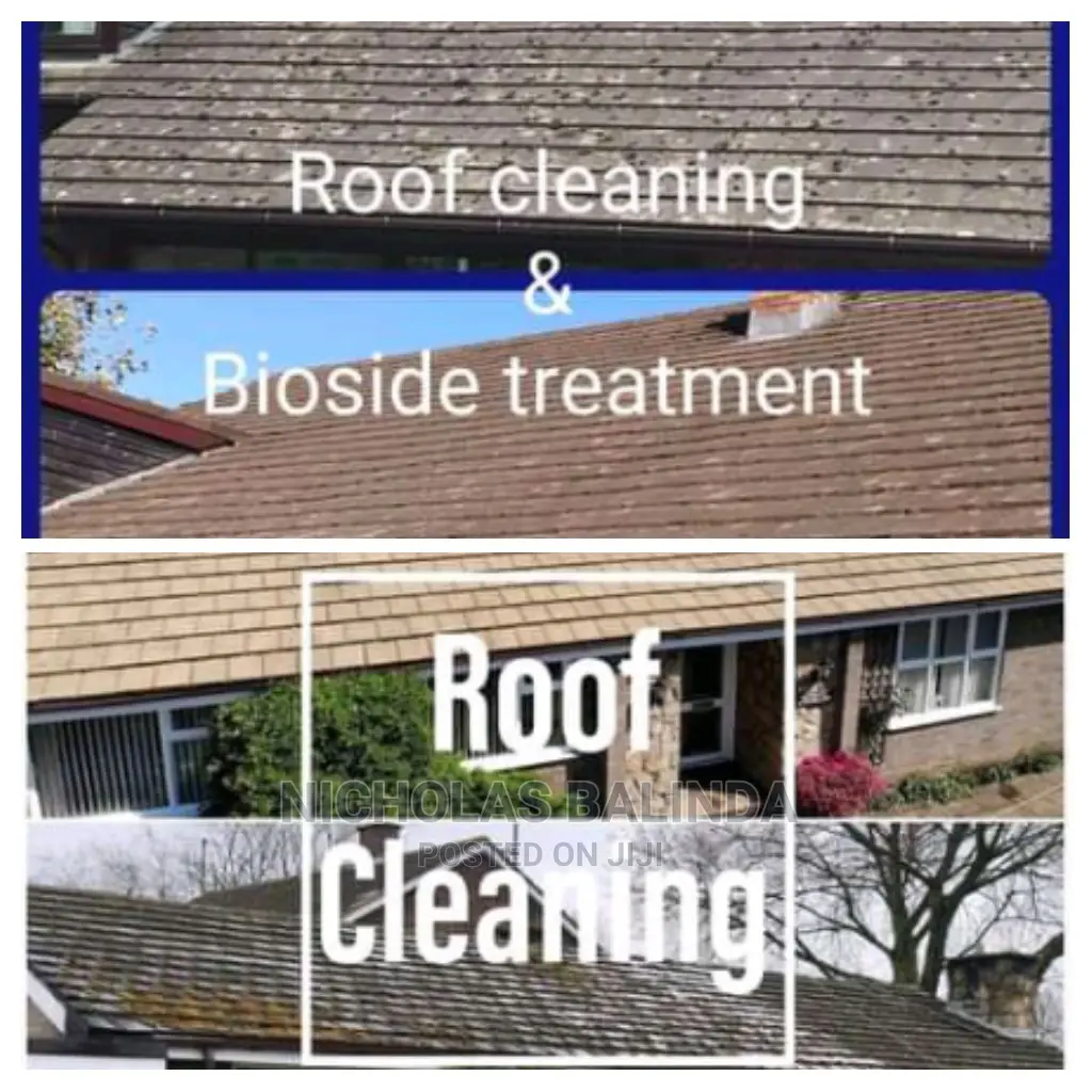 Roof Tiles Cleaning
