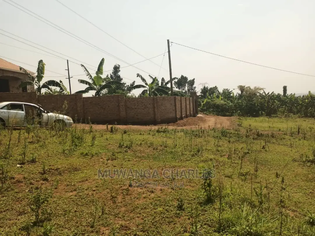 12decimals Plot of Land for Sale in Mattuga Migade