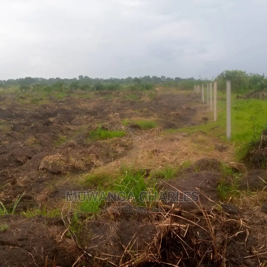 12decimals Plot of Land for Sale in Mattuga Migade
