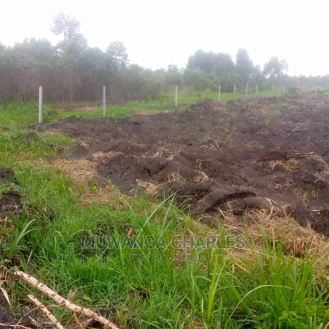12decimals Plot of Land for Sale in Mattuga Migade