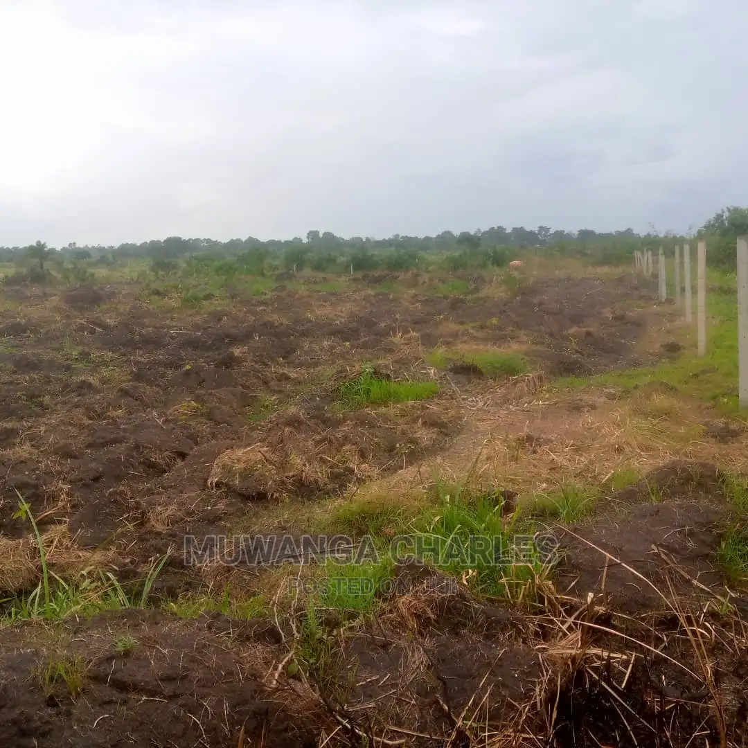 12decimals Plot of Land for Sale in Mattuga Migade