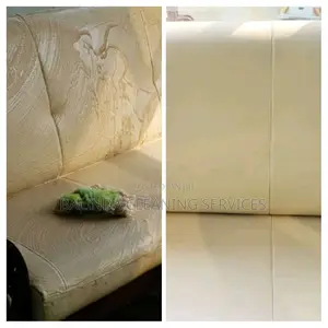 Leather Sofa Cleaning Service