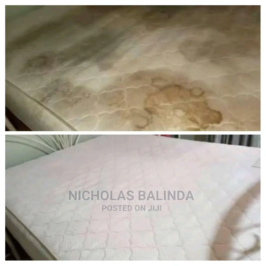 Spring Mattress Cleaning Service