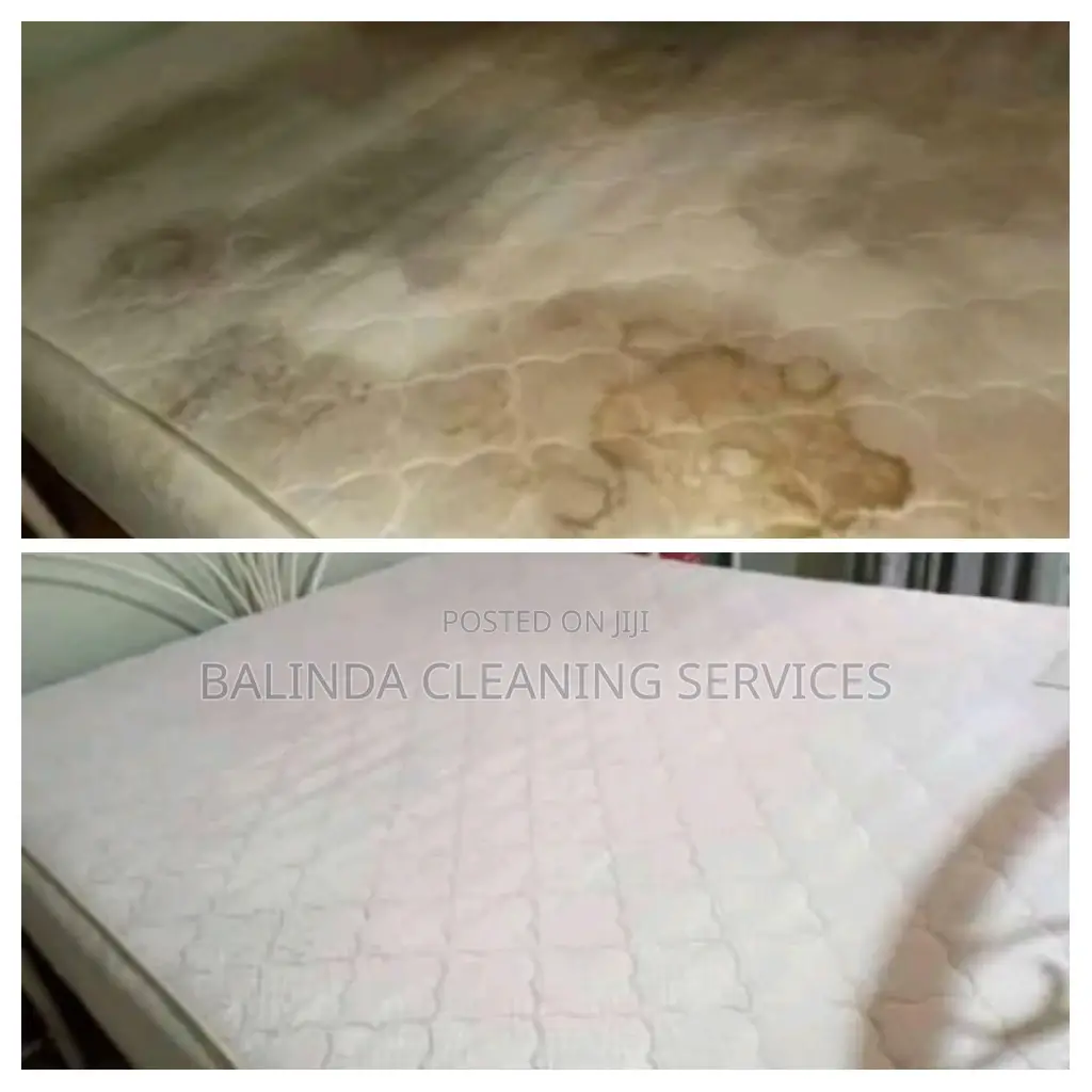 Spring Mattress Cleaning Service