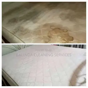 Spring Mattress Cleaning Service