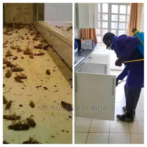 Get Rid of Cockroach Infestation in Your Kitchen Today