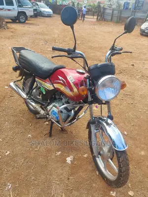 TVS 2019 Gray