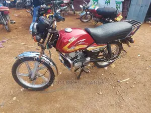 TVS 2019 Gray