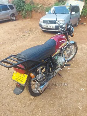 TVS 2019 Gray