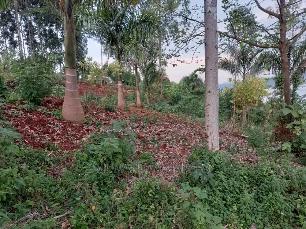 100x100ft Plot of Land for in Kungu