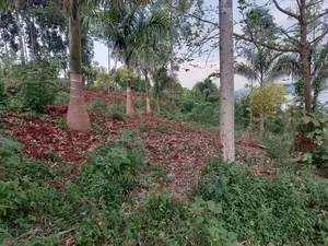 100x100ft Plot of Land for in Kungu