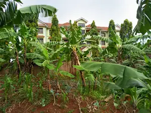 100x100ft Plot of Land for in Kungu