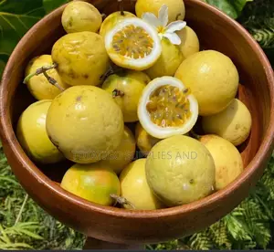 Photo - The Local Yellow 