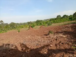2acres of Land for Sale at Busika