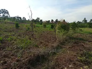 2acres of Land for Sale at Busika