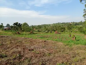 2acres of Land for Sale at Busika