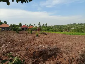 100x50ft Plot of Land for Sale in Namugongo Sonde