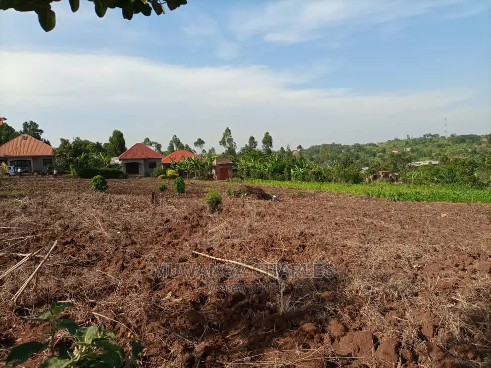 100x50ft Plot of Land for Sale in Namugongo Sonde