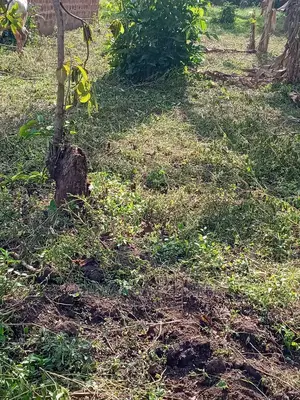 100x50ft Plot of Land for Sale in Namugongo Sonde