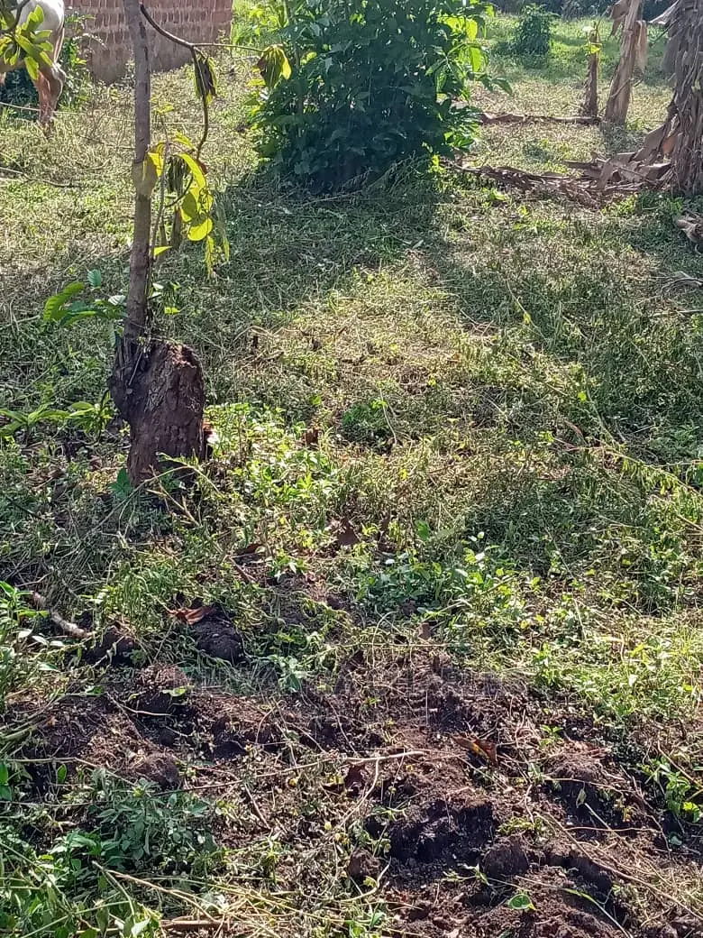 100x50ft Plot of Land for Sale in Namugongo Sonde
