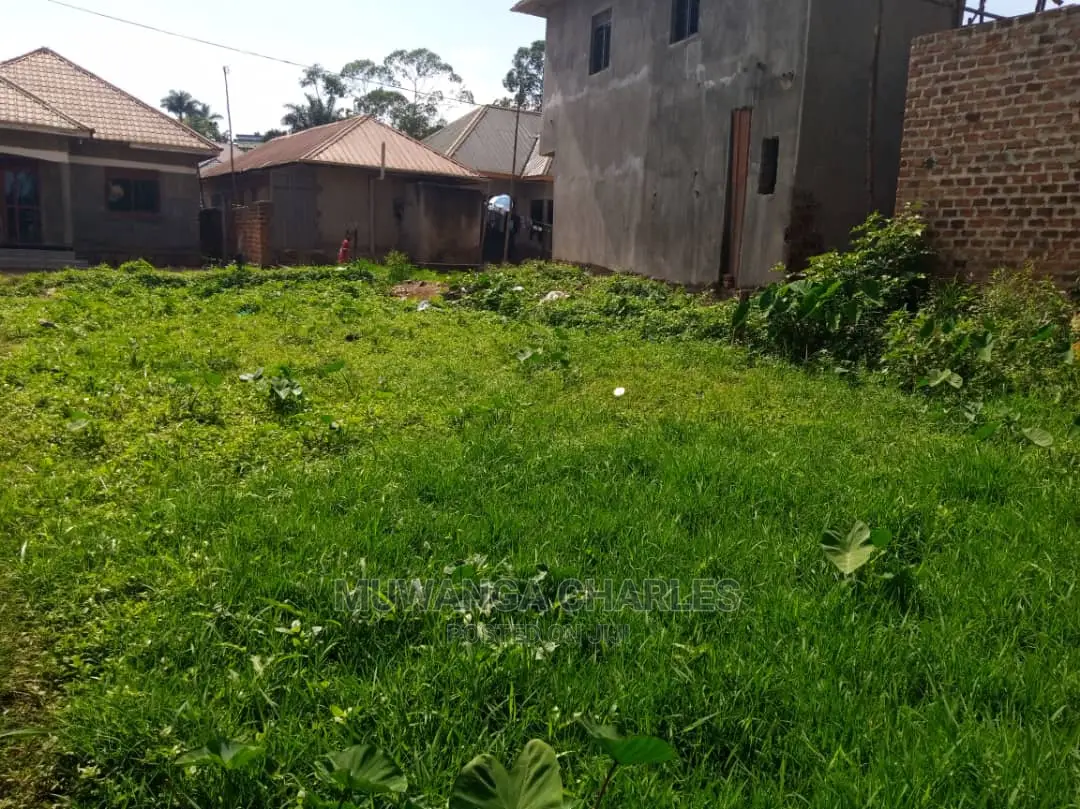100x50ft Plot of Land for Sale at Mattuga
