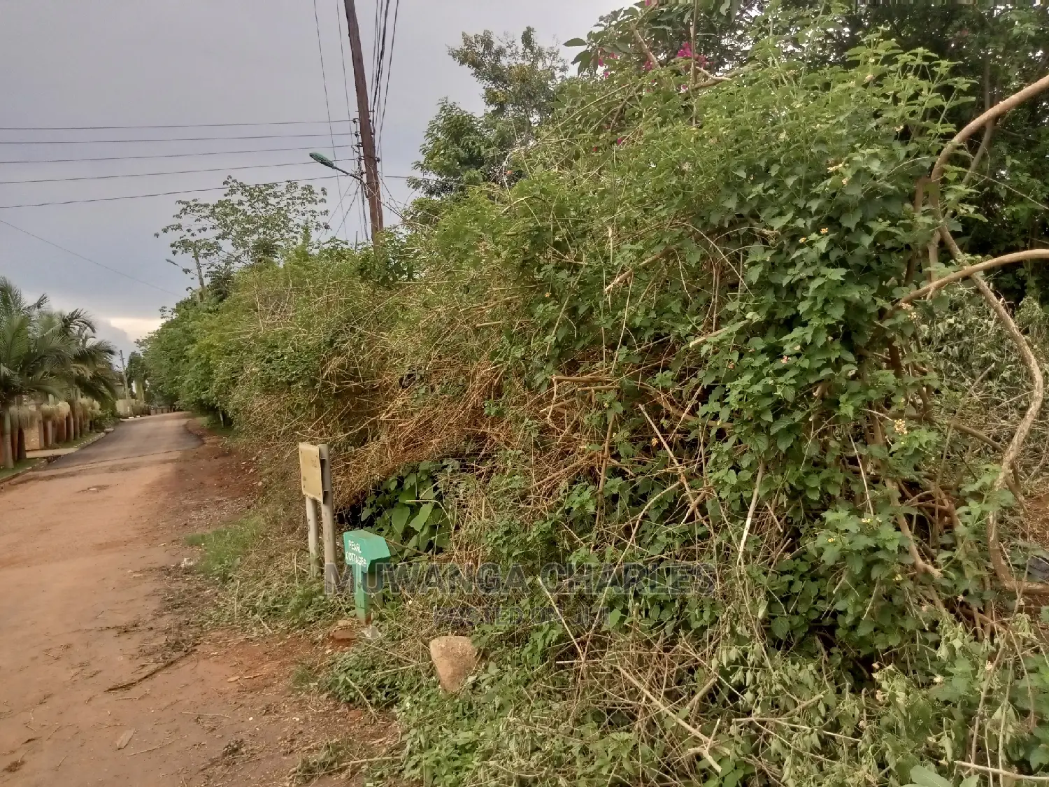 50decimals Plot of Land for Sale at Kiwatule