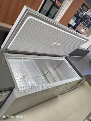Changhong Deep Freezer 600L