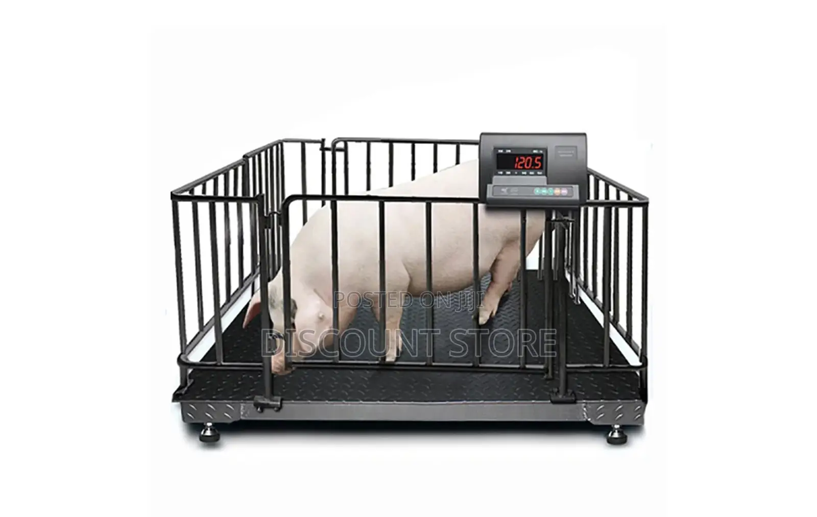 Large Electronic Weigh Scales for Animals